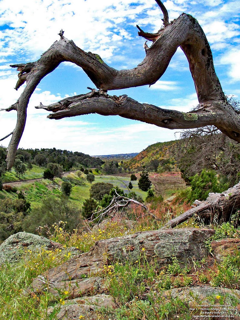 Rocky Gully