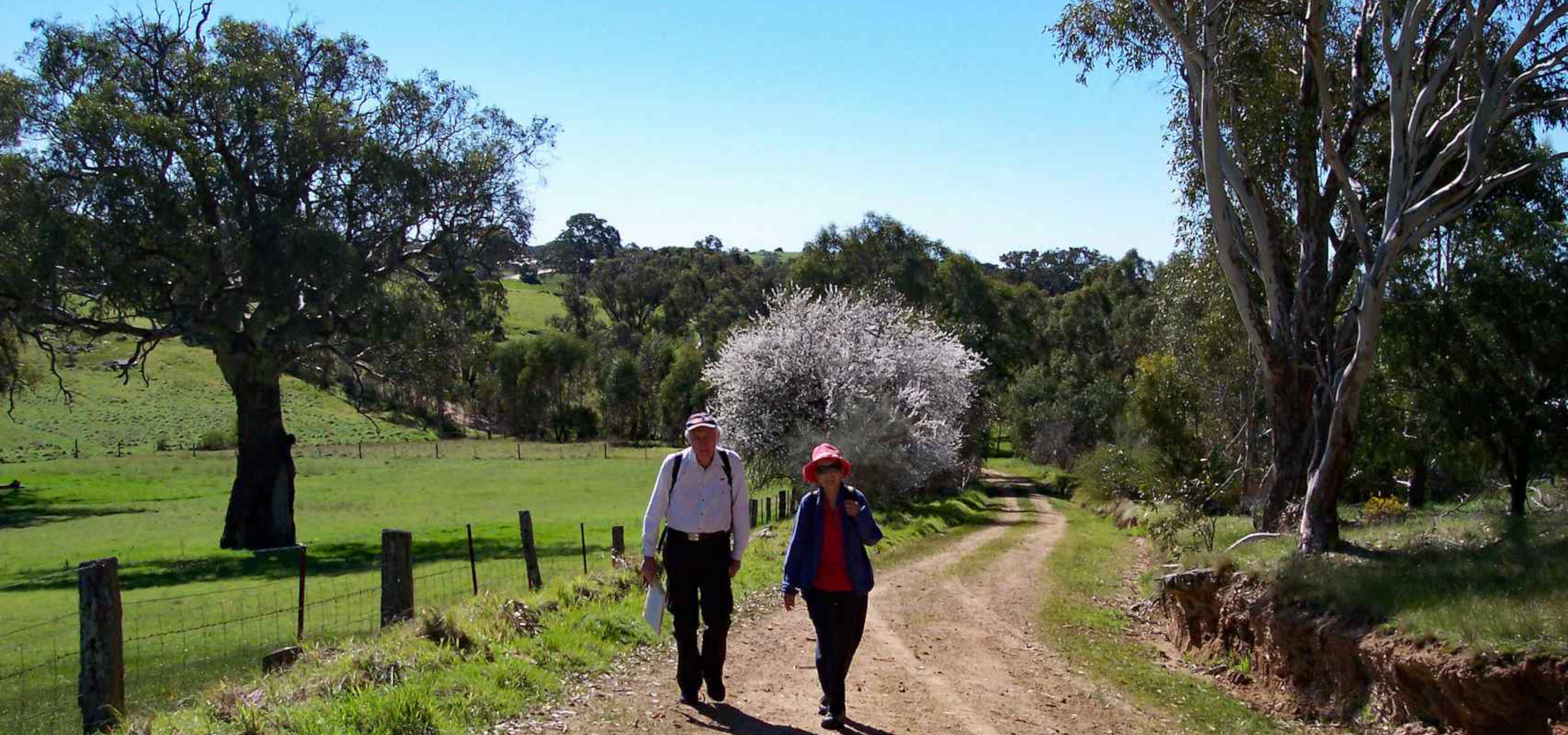 Springton Loop Trail